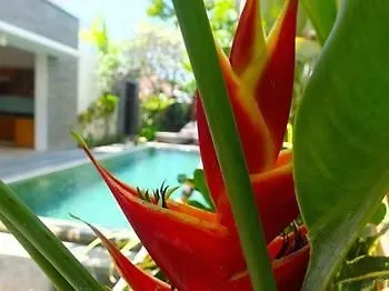 Mahalini Villas Seminyak